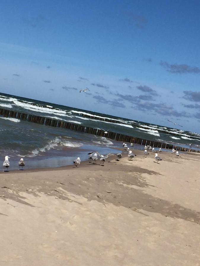 Domki Alex Przy Plazy Dziwnowek Bagian luar foto